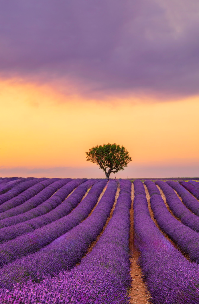 Provence Maison de vacances